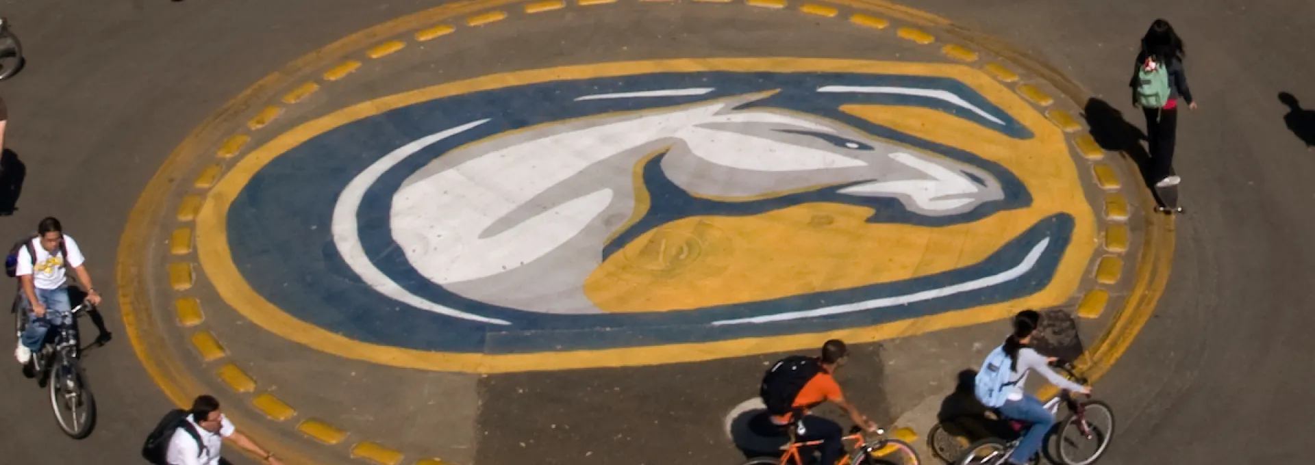 UC Davis Bike Circle
