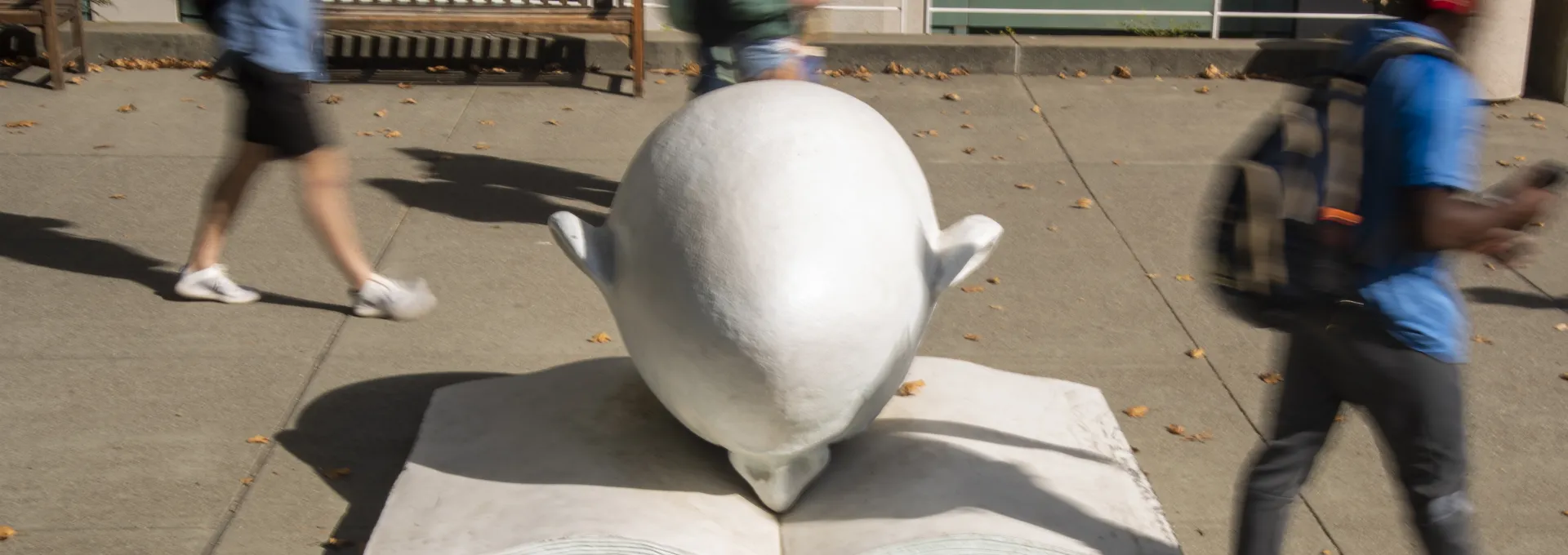 UC Davis Egghead Shields Library