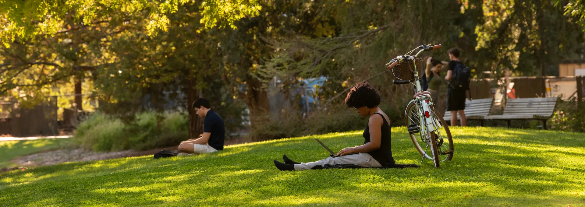 People relaxing and working on laptops on a sunny, tree-shaded park lawn, with a bicycle parked nearby.