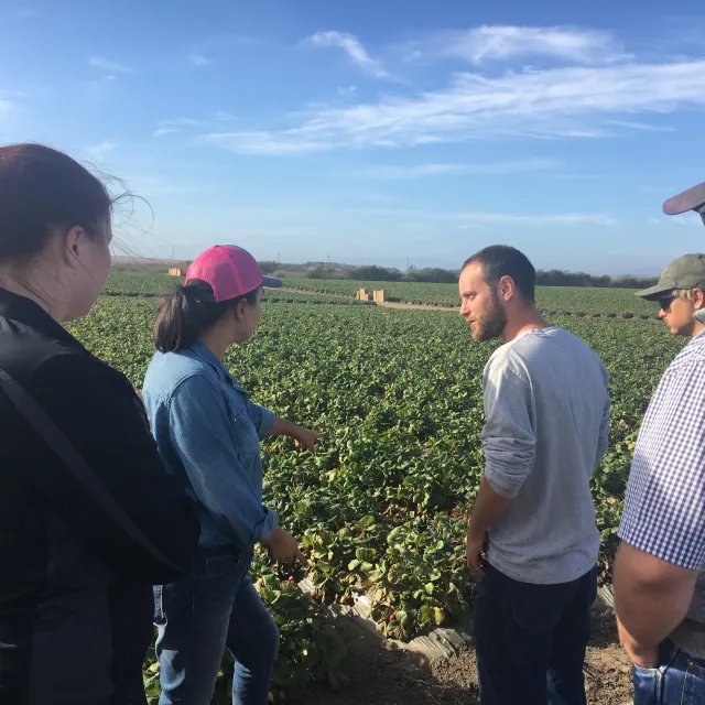 Agriculture students visit crops in field