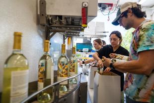 UC Davis students bottle and label new student made wine for sale
