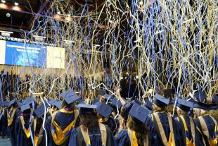 Streamers