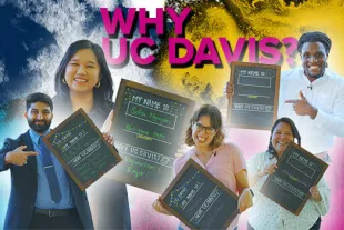 Five people hold chalkboards with personal messages in front of a colorful background. Bold text above them reads “WHY UC DAVIS?” in pink and white letters.