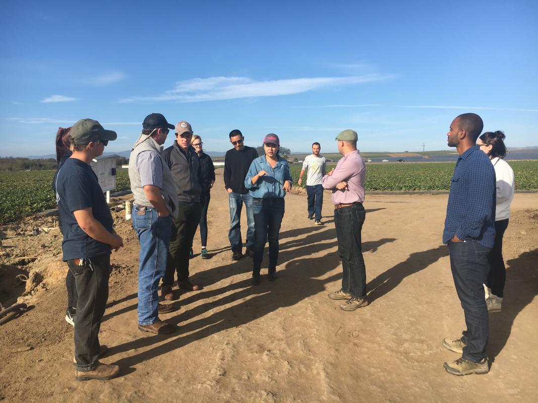 Jackie Vasquez, director of operations for Sundance Berry Farms