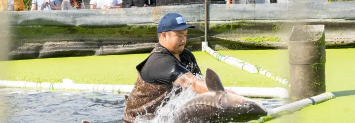 A man holding a sturgeon in a pool of water