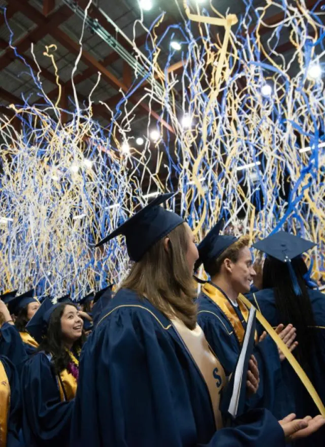 Graduation Streamers