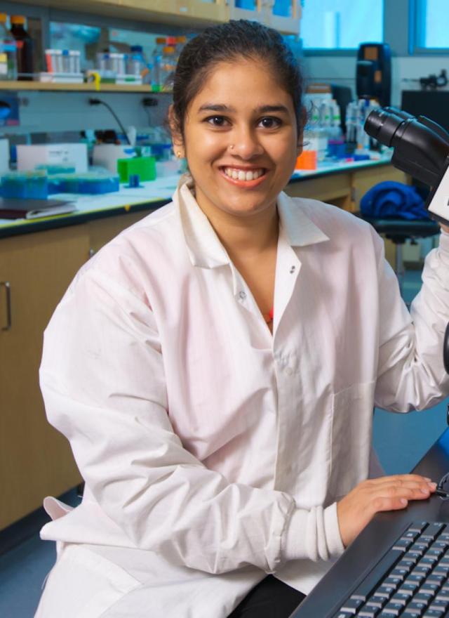 Headshot of Anita Rajamani