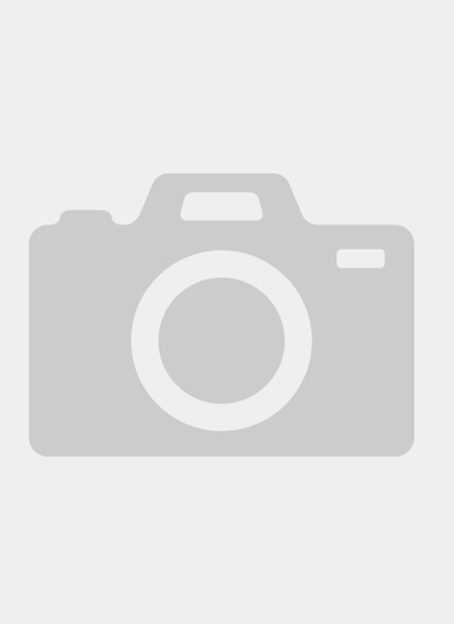 Gray camera placeholder