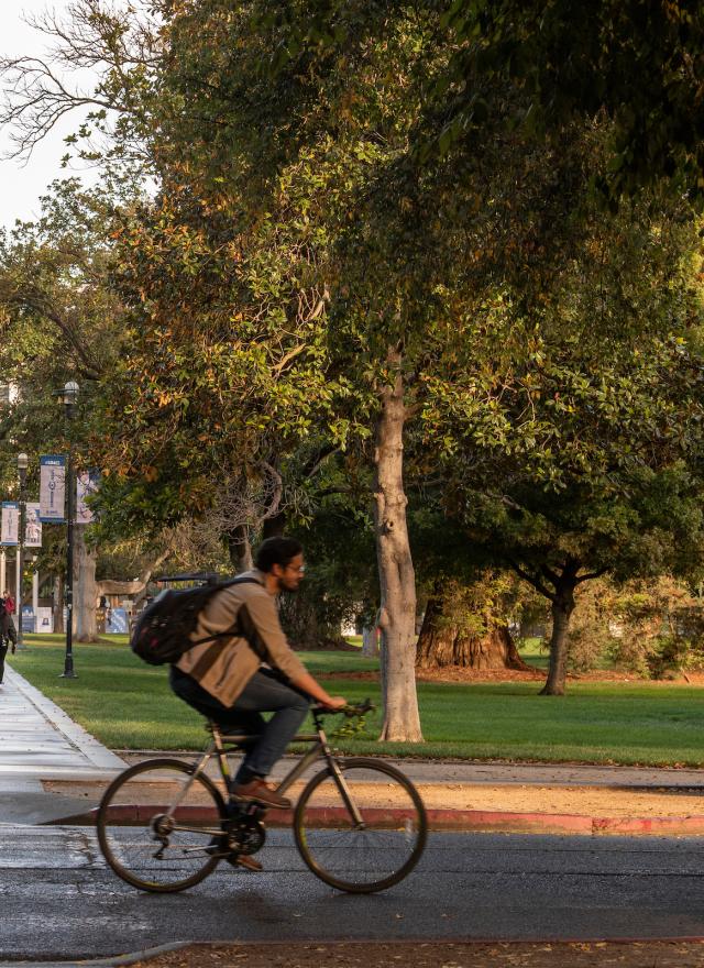 Student cycling near the quad