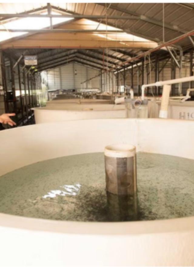 Ali Bolourchi standing in front of a water tank at Tsar Micoulai Caviar