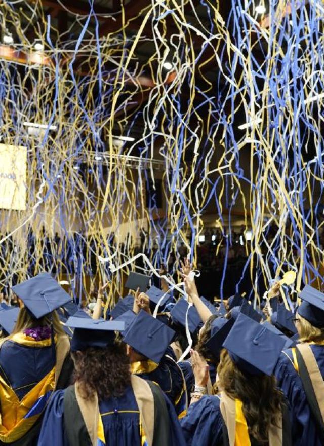 Streamers