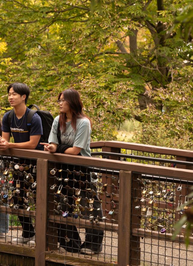 Three people stand on a wooden bridge covered with numerous padlocks, surrounded by green trees and foliage.