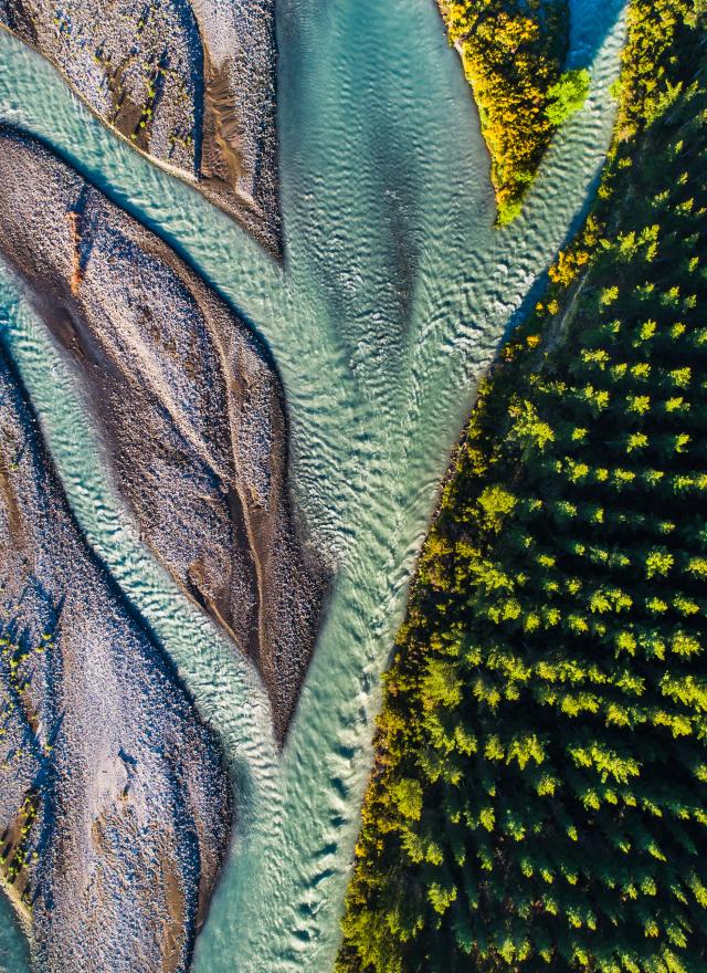 Aerial view of a braided river flowing alongside a dense forest with green trees, creating a clear boundary between water and woodland.