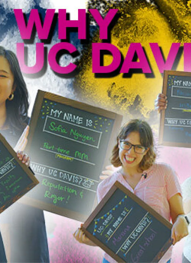 Five people hold chalkboards with personal messages in front of a colorful background. Bold text above them reads “WHY UC DAVIS?” in pink and white letters.