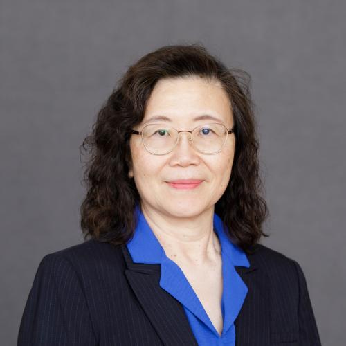A woman with wavy dark hair, glasses, and a navy pinstripe suit over a blue blouse poses in front of a plain gray background.