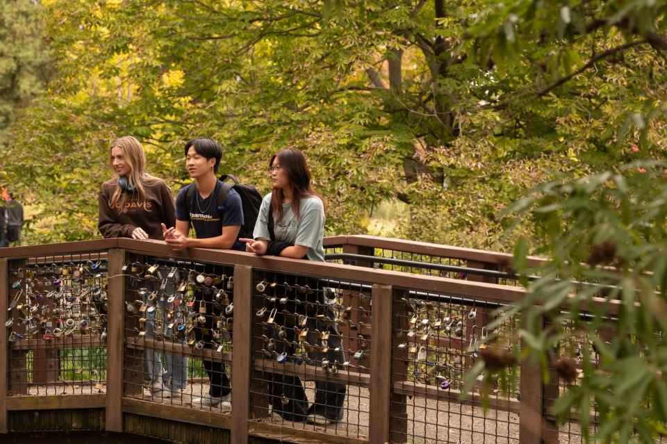 Three people stand on a wooden bridge covered with numerous padlocks, surrounded by green trees and foliage.