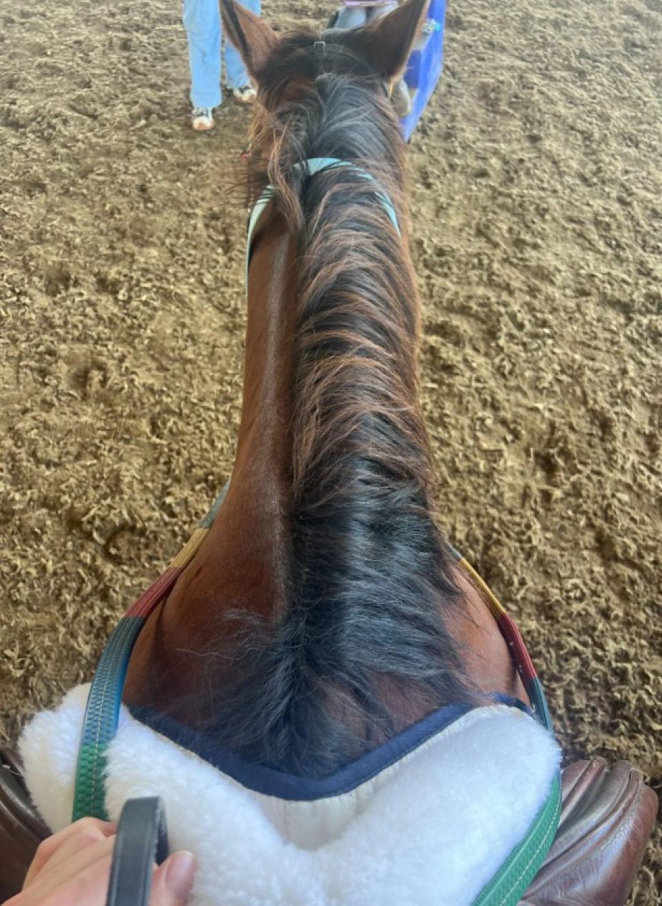 View from atop a saddled horse, showing the horse’s neck and mane, with a hand holding the reins. The ground and a person in jeans are visible ahead.