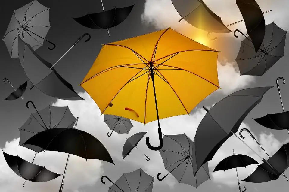 umbrella