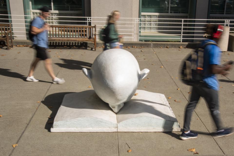 UC Davis Egghead Shields Library