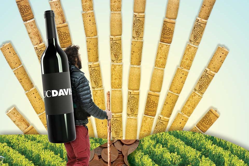 UC Davis wine sales graphic from UC Davis Magazine