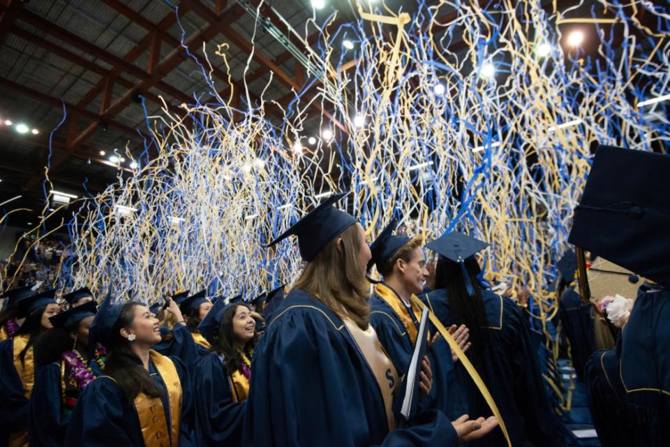 Graduation Streamers