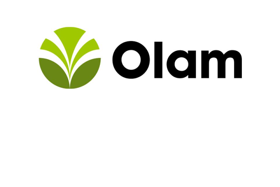 Olam
