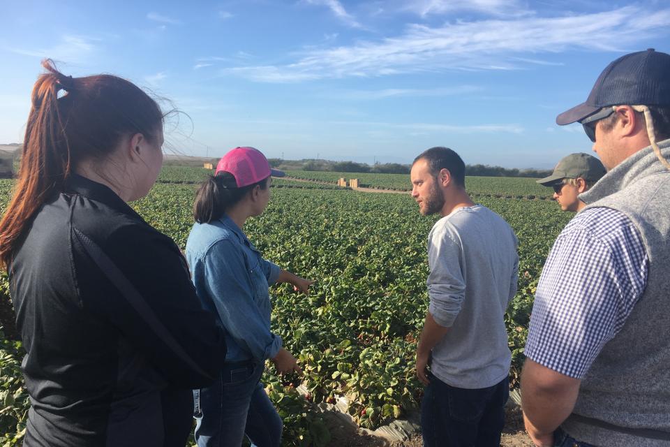 Agriculture students visit crops in field