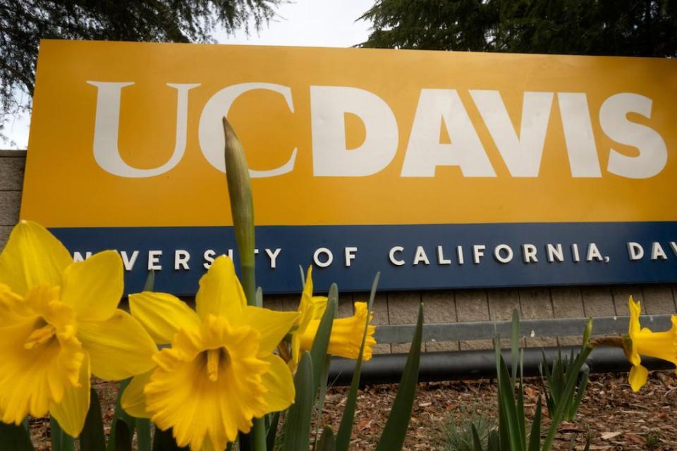 UC Davis welcome sign