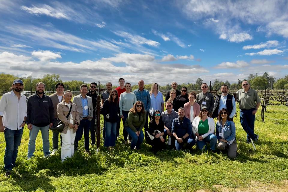 Participants in the 2025 wine executive program pose for a group photo in a vineyard