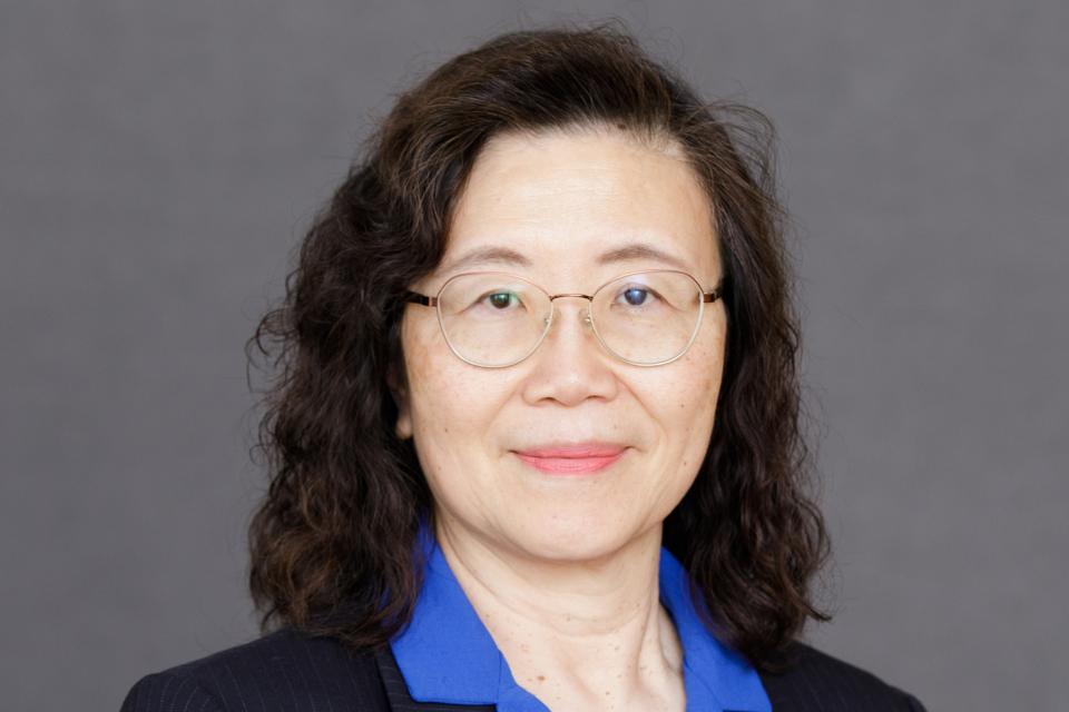 A woman with wavy dark hair, glasses, and a navy pinstripe suit over a blue blouse poses in front of a plain gray background.
